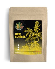 mockup-LemonHaze